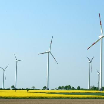 Bei Windkraftausbau Ziel vor Augen behalten